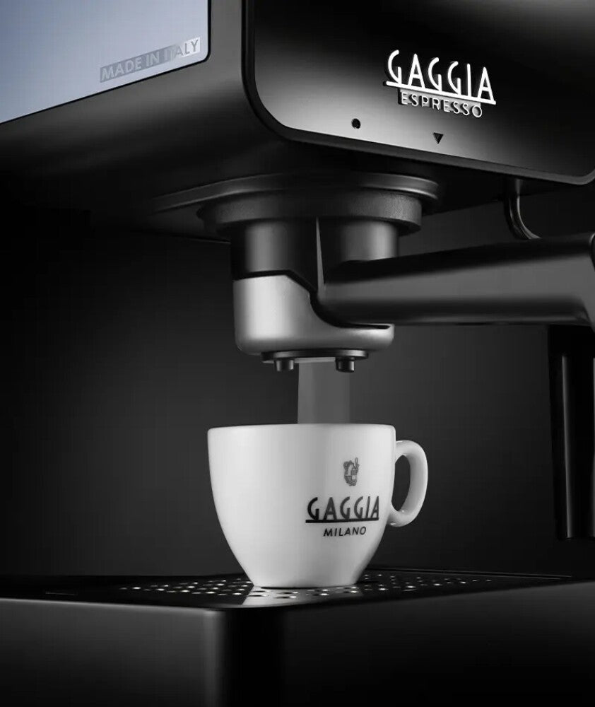 Gaggia ESPRESSO DELUXE Sturmgrau