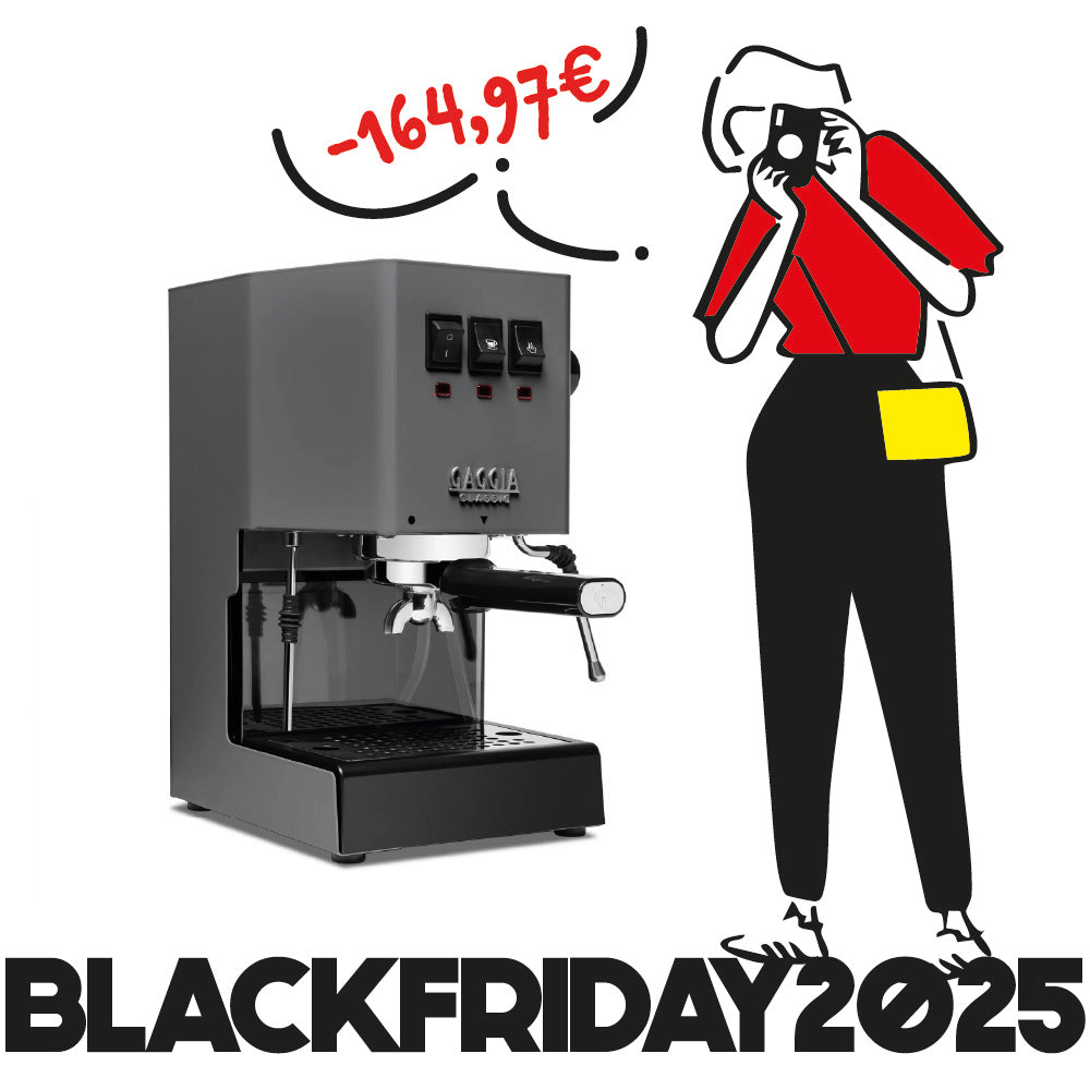 Gaggia CLASSIC E24 Gris Industriel - Color Vibes